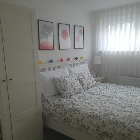 זאגרב Cosy 35M2 Appartment מראה חיצוני תמונה
