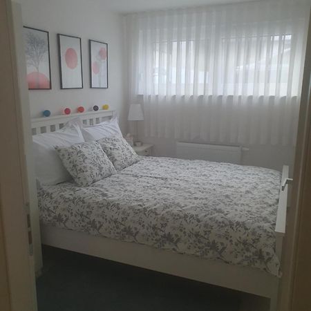 זאגרב Cosy 35M2 Appartment חדר תמונה