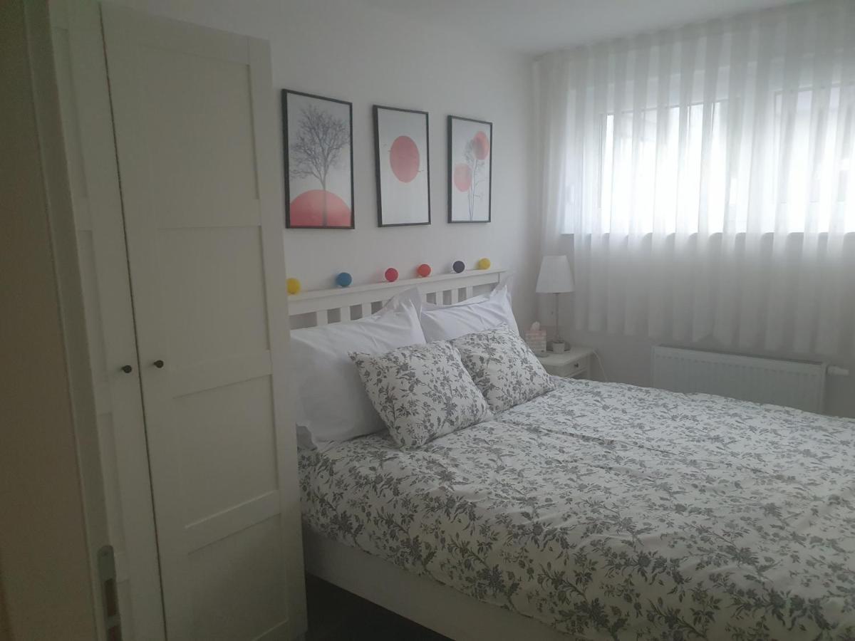 זאגרב Cosy 35M2 Appartment מראה חיצוני תמונה